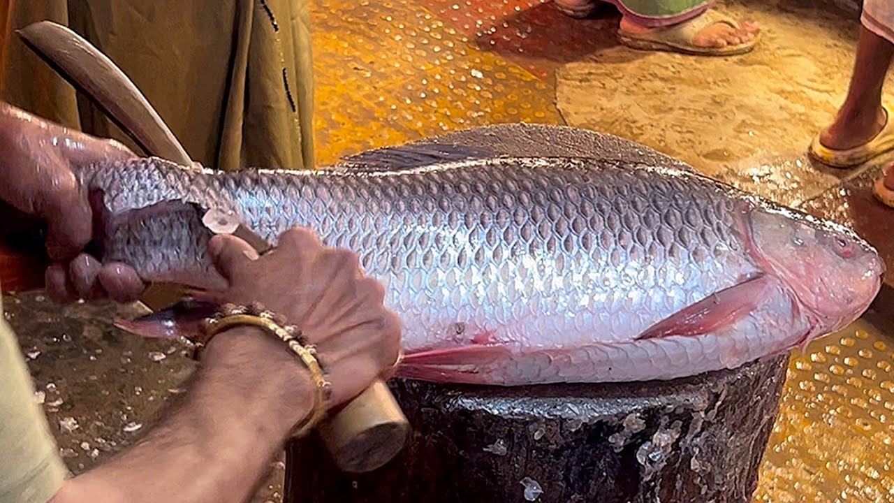 Incredible Cutting Video | Big Rohu Fish Cutting By Expert Fish Cutter