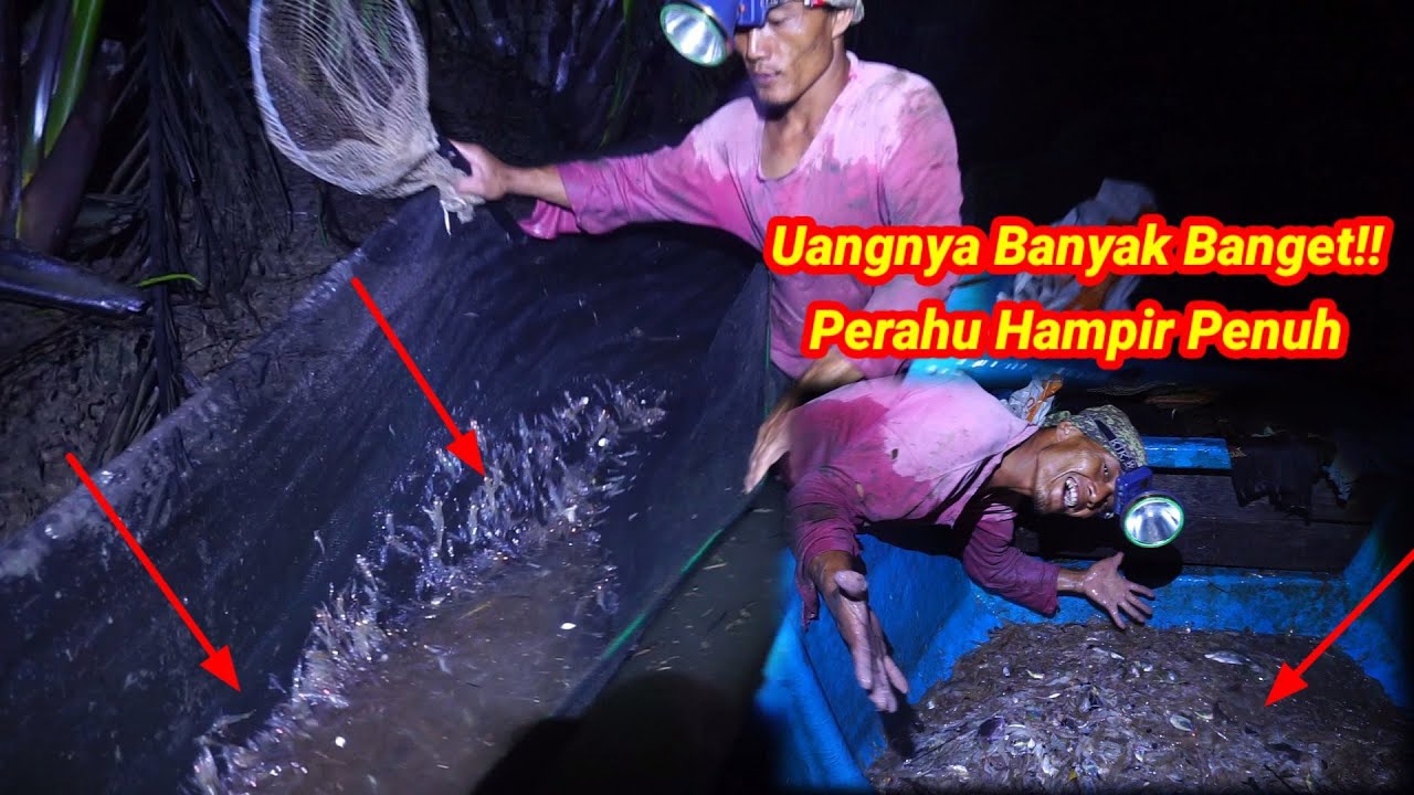 4Hari 4Malam Pasang Perangkap Udang Hanyut Dihari Ke2 Hasilnya Sangat Melimpah