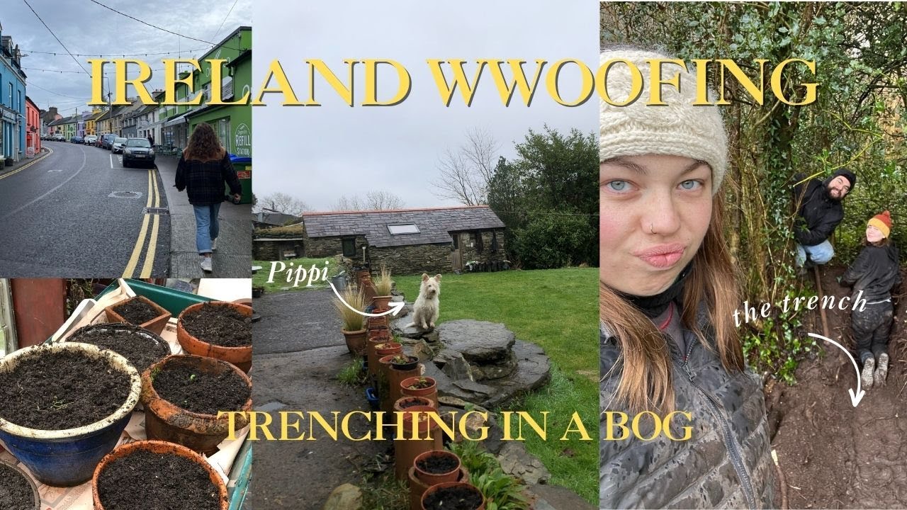 Farming in Southern Ireland with WWOOF Ep. 12