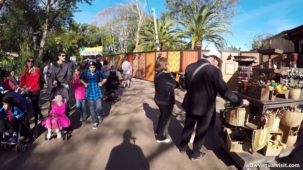 Animal Kingdom - AFRICA - Festival of the Lion King to Rafiki's Planet Watch