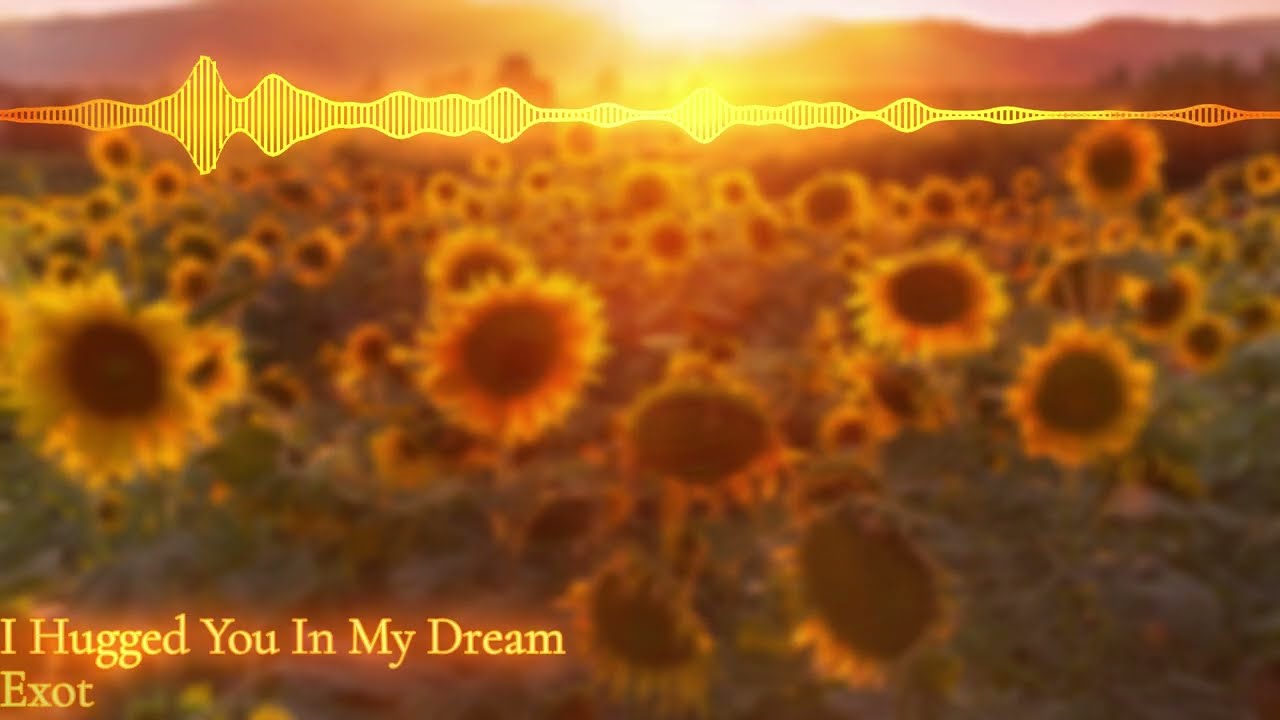 Exot - I Hugged You In My Dream