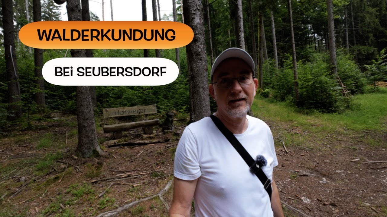 Walderkundung bei Seubersdorf