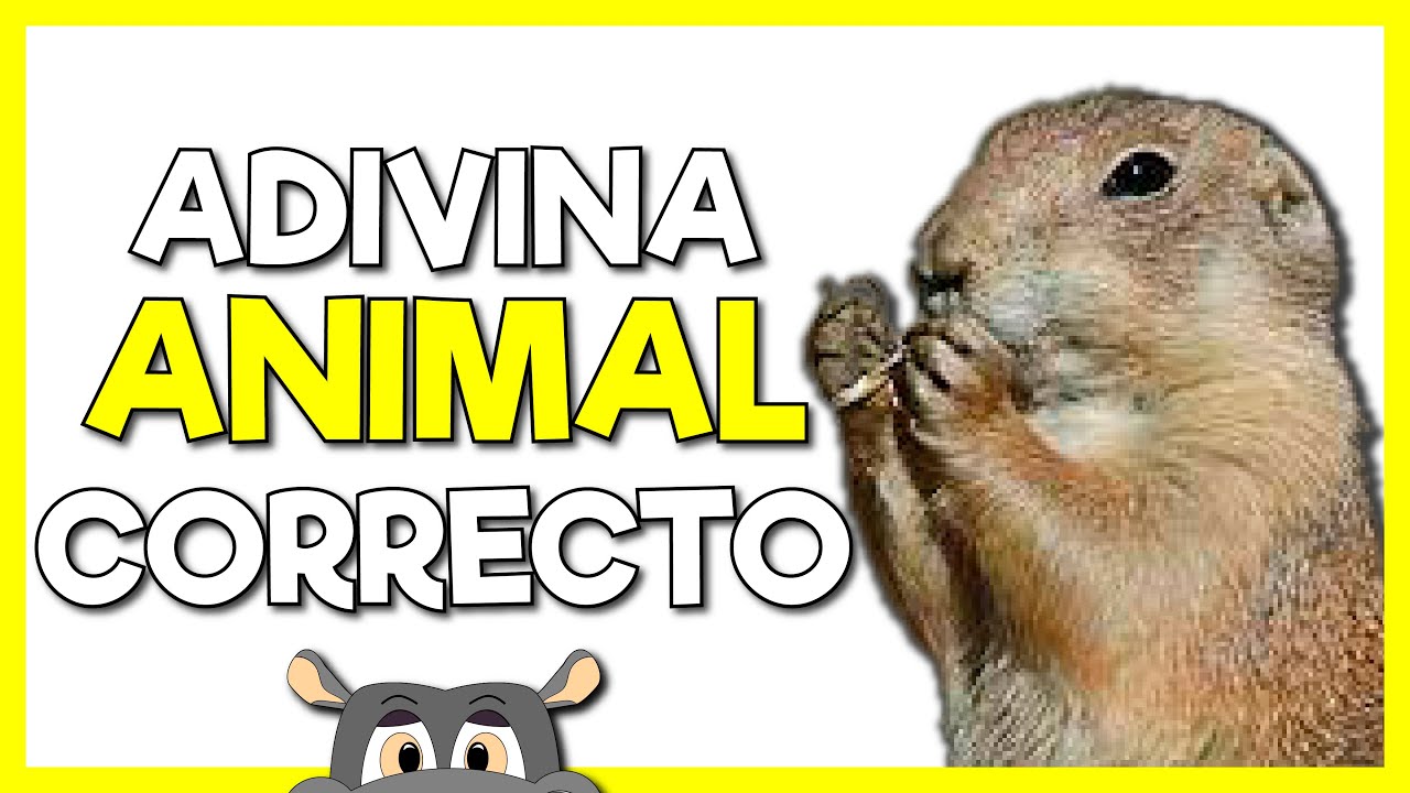 ADIVINA el ANIMAL Correcto 🦍🐮🐰 Test de 60 preguntas sobre animales