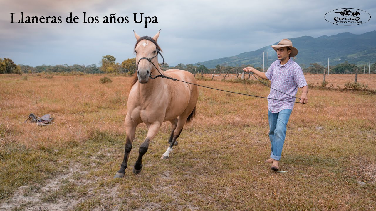 Encuentro Con Un Berraco - Alfonso Ni&ntilde;o