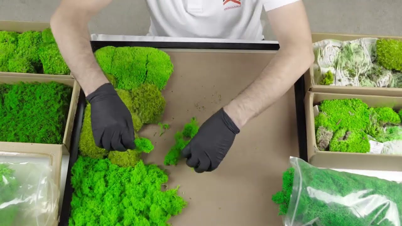DIY | MOSS FRAME | MOSSARO