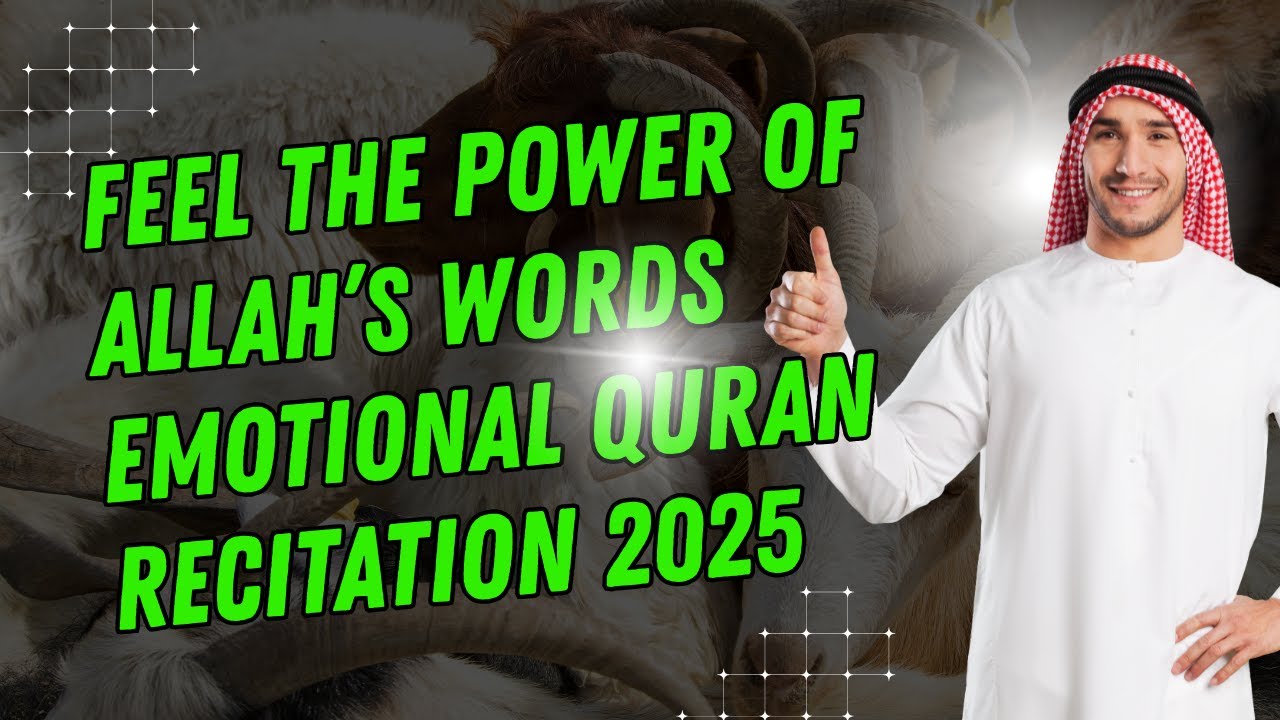 Relax Your Mind with This Beautiful Qur’an Recitation