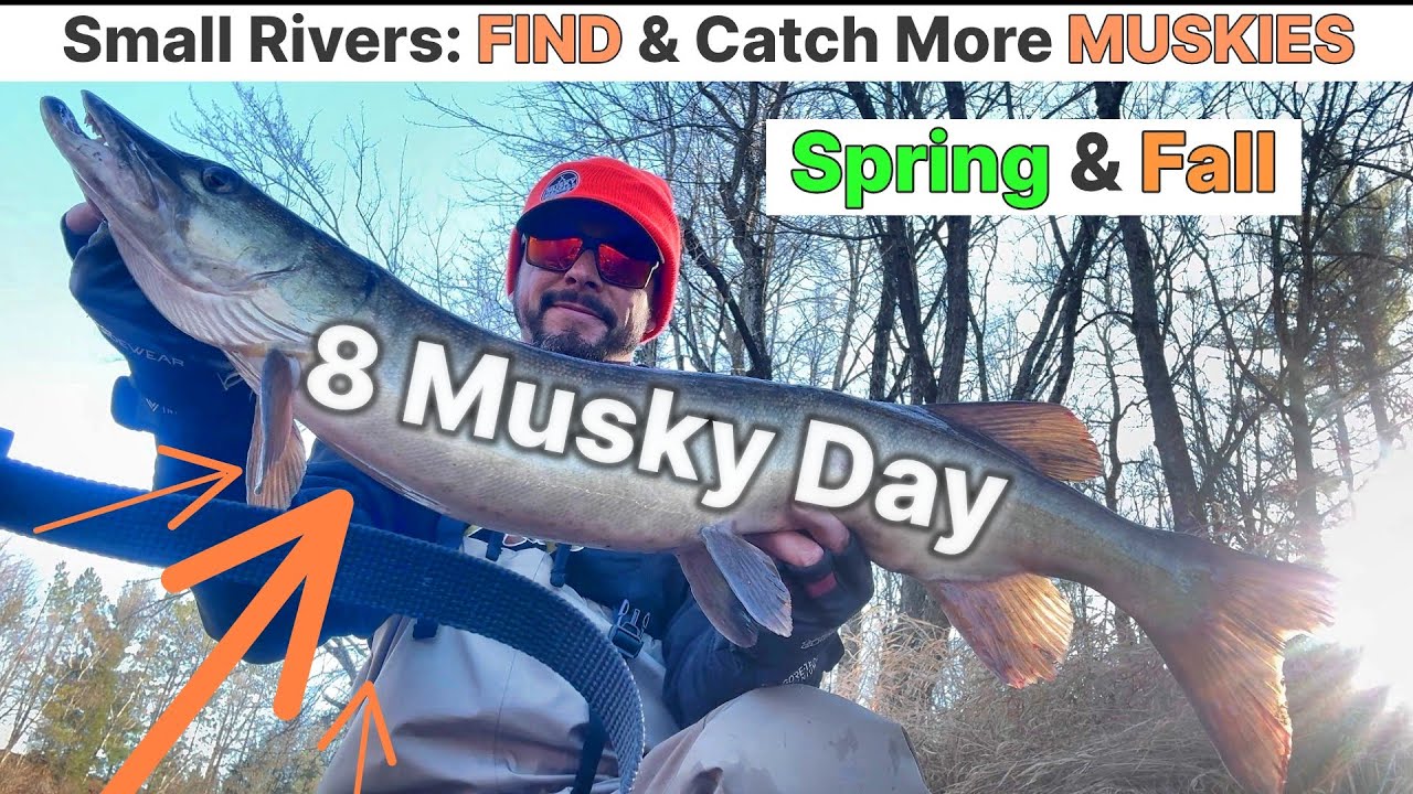 8 Muskies Caught! WHERE To Look For MUSKY On Small Rivers Early & Late Season When It's COLD