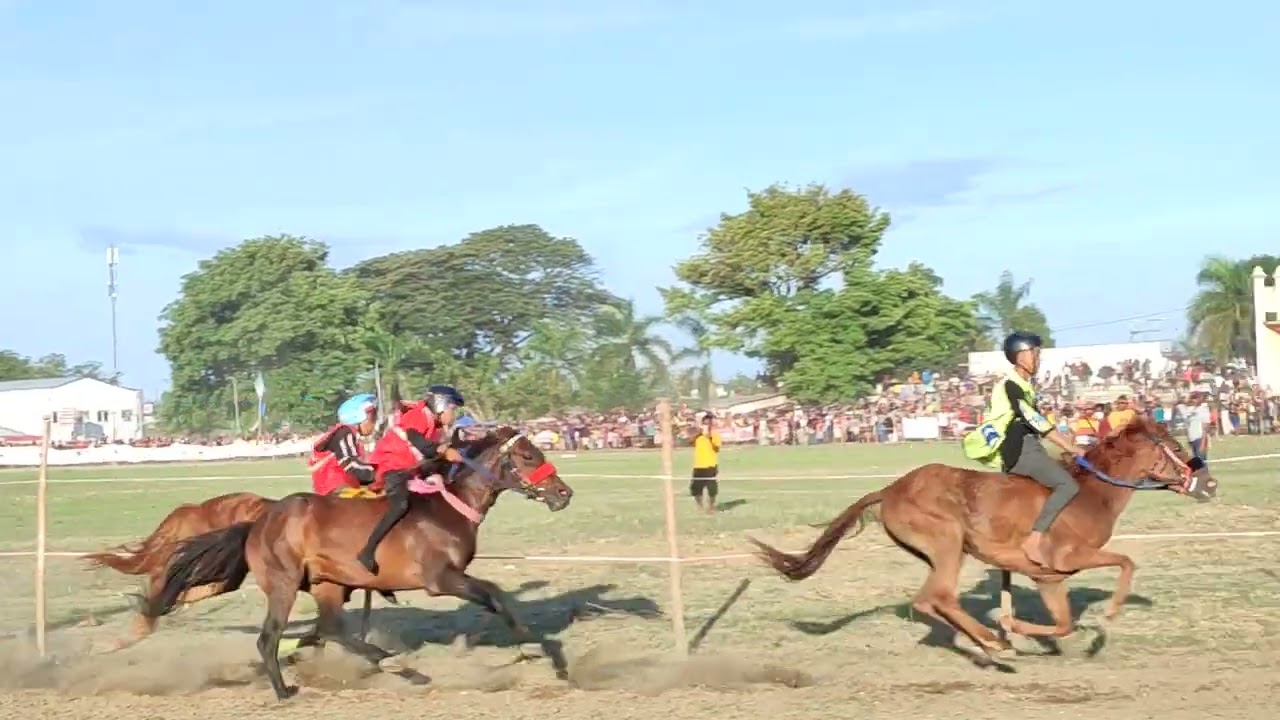 Final Kelas A Pacuan Kuda Maumere || Juara 1 Nelle Star Maumere