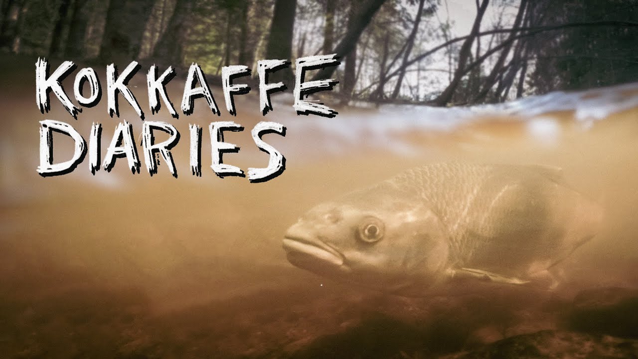 Fly Fishing for Diamond Orfe in Sweden.