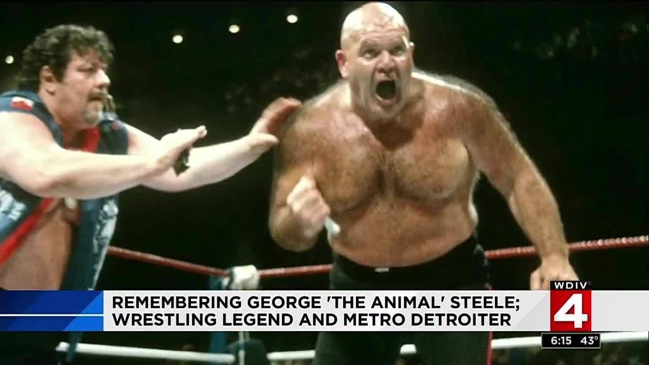 Remembering George 'The animal' Steele; wrestling legend and Metro Detroiter