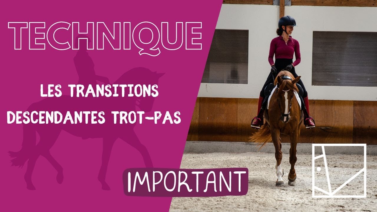 LES TRANSITIONS DESCENDANTES TROT-PAS BIEN FAITES