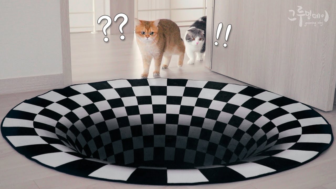 Забавная реакция кота на встречу с 3D ковриками.