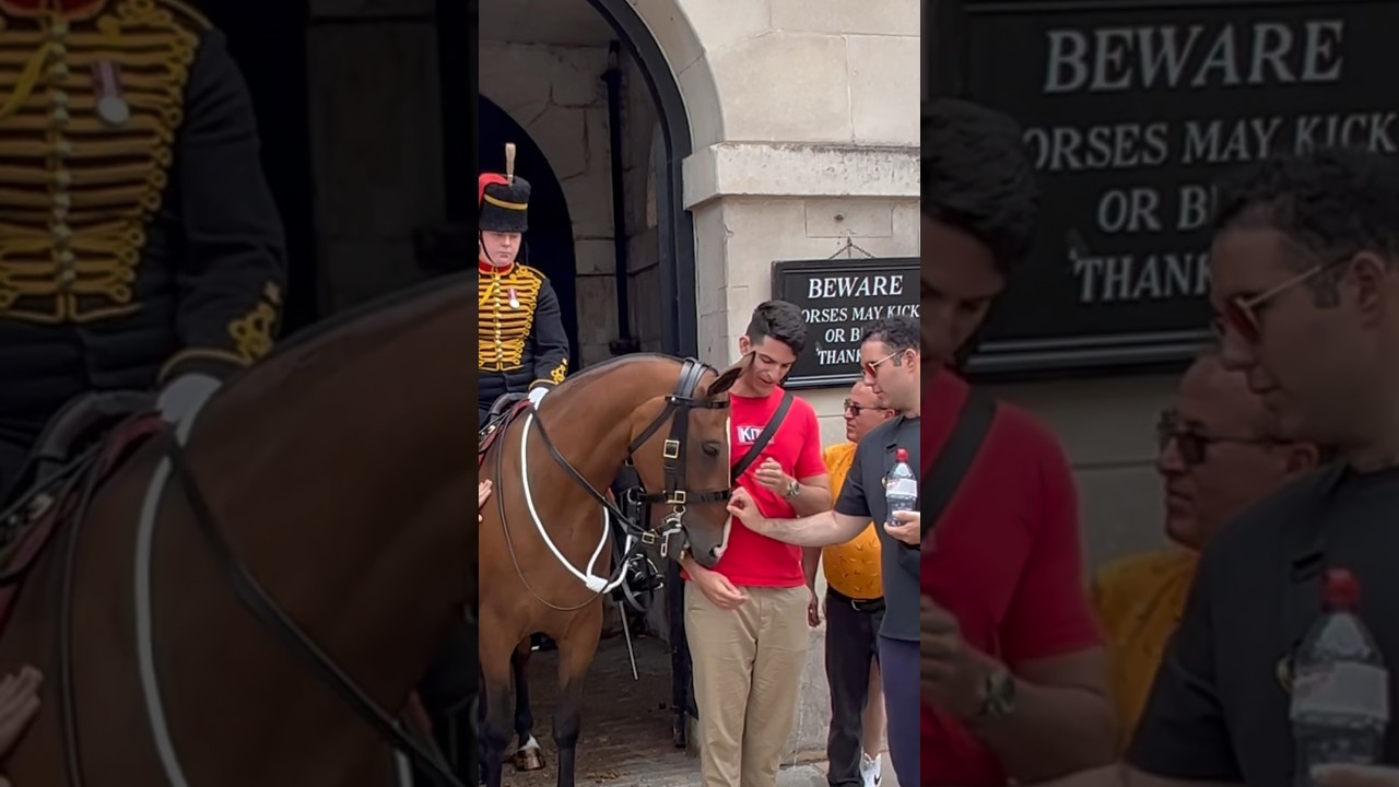 Horse Bites Tourist Hand | please Read NOTICE BOARD Behind you #kingsguard #horseguardsparade
