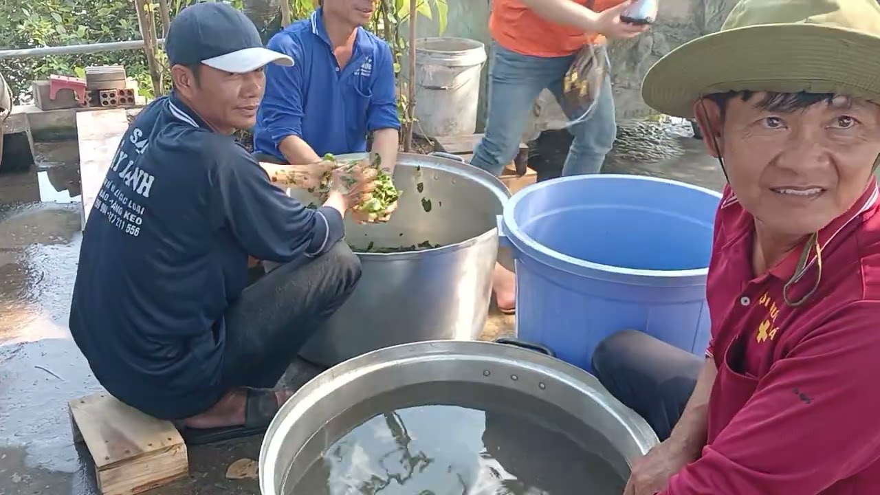Chùa bà bài