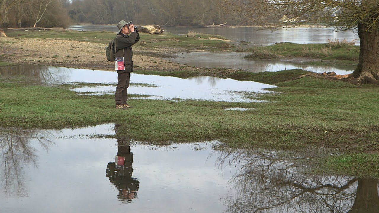 Reportage : Denis Chavigny, peintre ornithologue