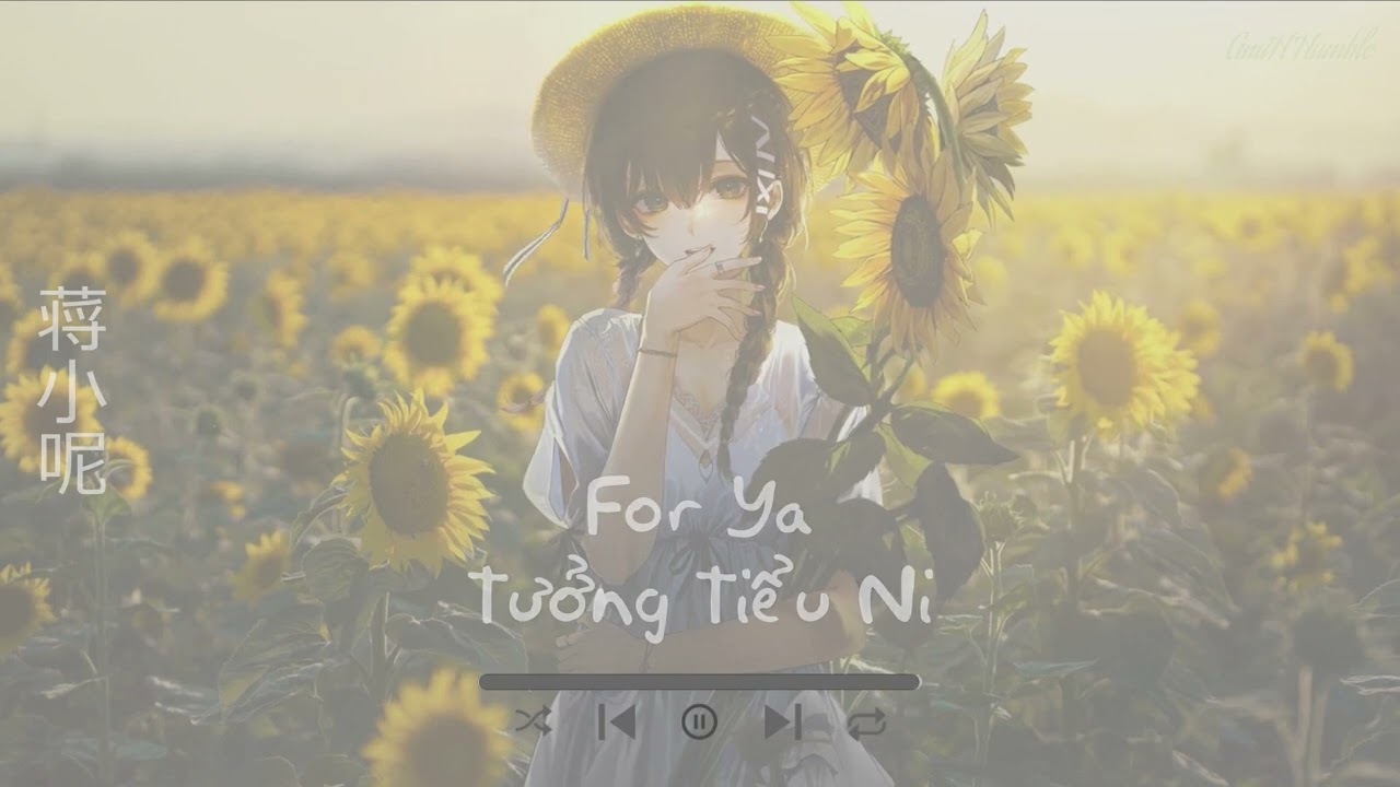 [Vietsub + Pinyin] List nhạc Hoa hay (Part 2) | GnuH Humble