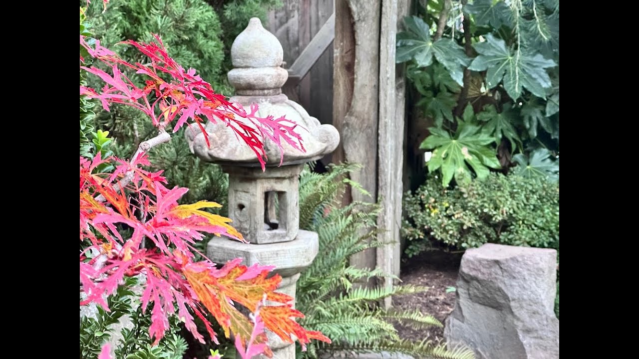 Lawrence Sukashi Cascadian Garden Fall Update