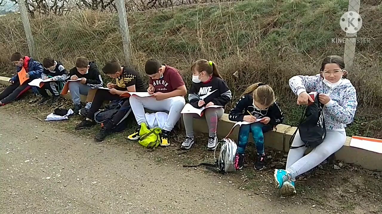 NUESTRA PRIMERA CLASE EN LA NATURALEZA.           CEIP ANDALUCIA DE BENALÚA.4° A y B.