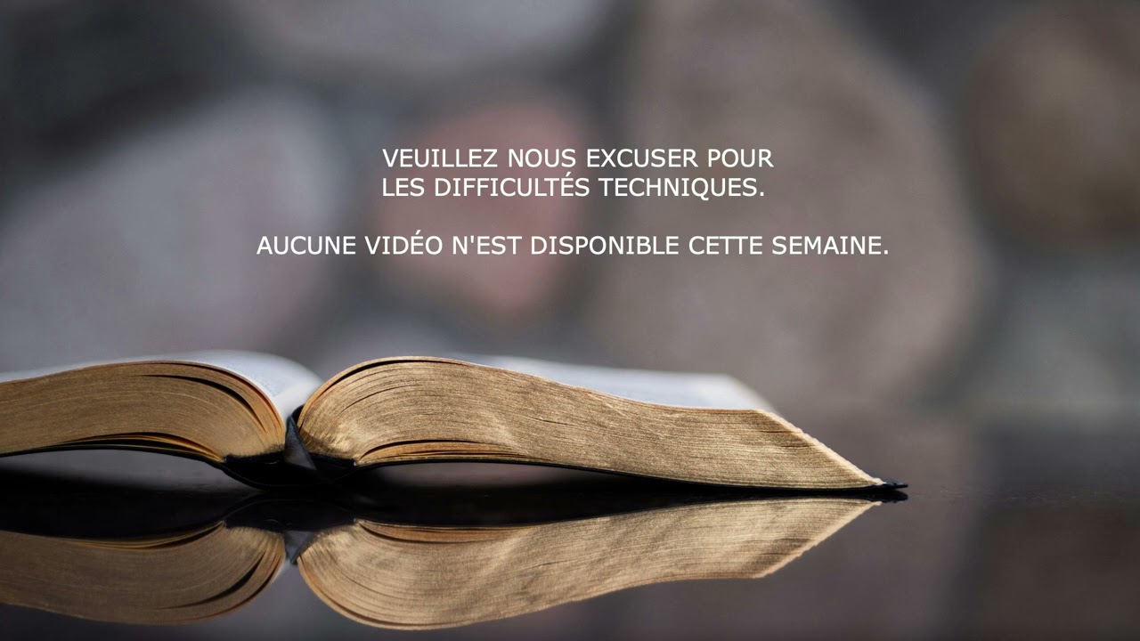 Vision Mandaté