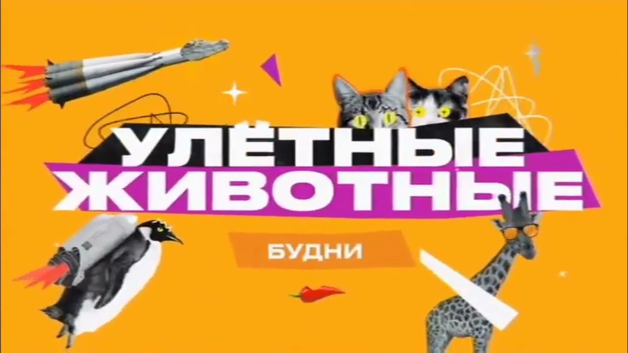 Анонсы (Перец International, 19.06.2025)