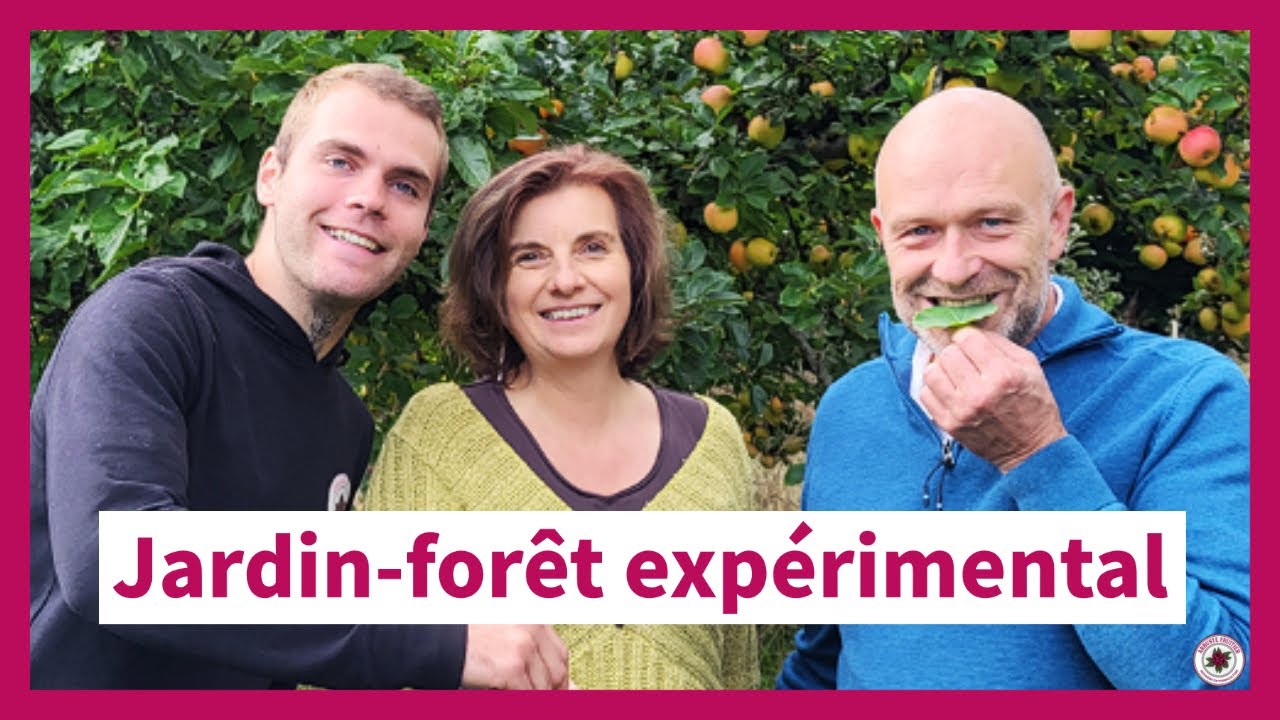 Projet permacole du @predon6960 : jardin-forêt, couvre-sol et mare | PermaZoom