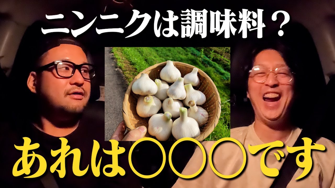 ニンニクがただの調味料とか食材だと思ってる人は肝心なことを見落としている。#ドライブ #雑談 #ジローとまもる #深夜 #平凡な人生