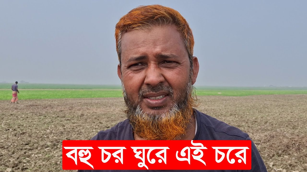বহু চর ঘুরে এই চরে | farming in bangladesh | mahamudul hasan | Y Bee