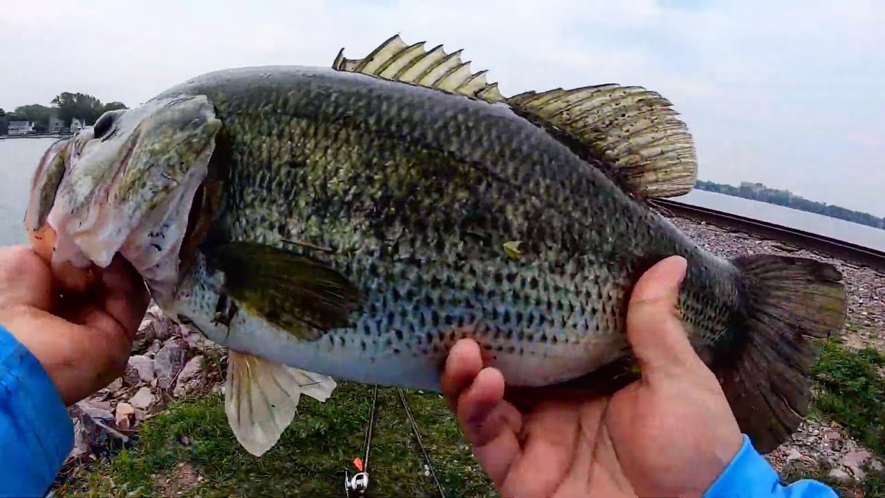 Lake Mendota vs Lake Monona (bank fishing)