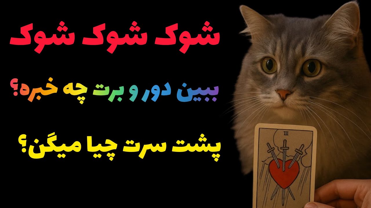 ژوپیتر تاروت -   آماده شنیدن حقایق هستی؟ پشت سرت چیا میگن؟
