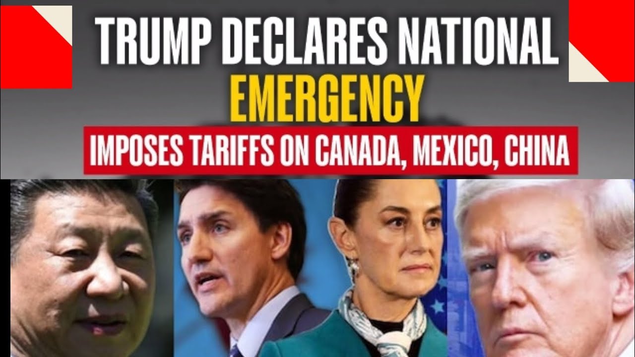 Donald Trump's Tariffs Spark Trade War |Canada, China, Mexico Retaliate | Economic Fallout Explained