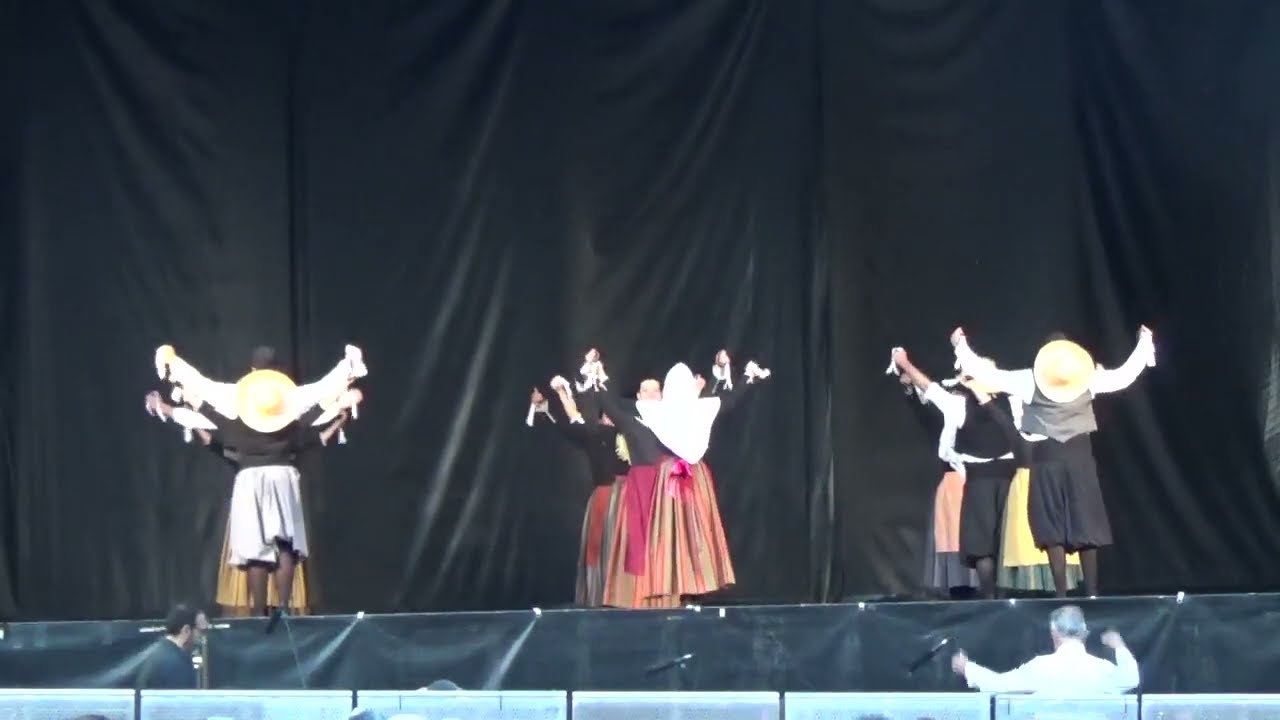 Festa Pagesia - Cos de Dansa