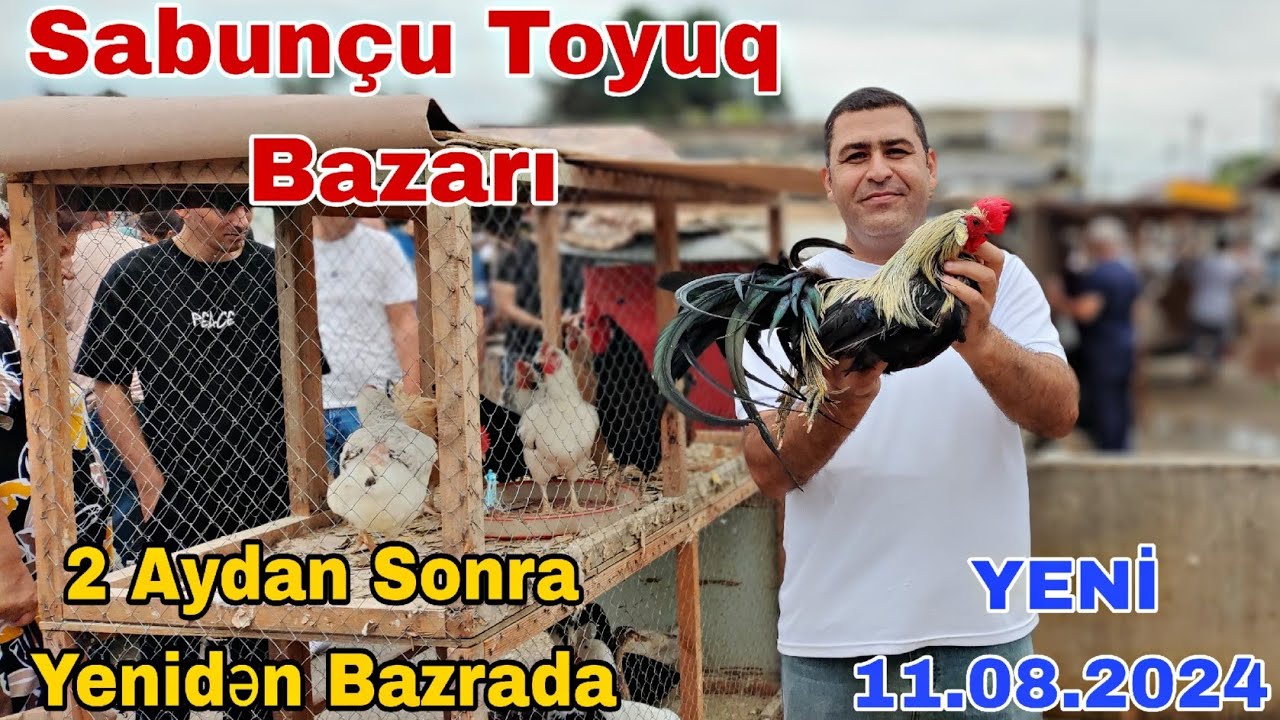 Sabunçu Toyuq Bazarı 11 Avqust 2024,