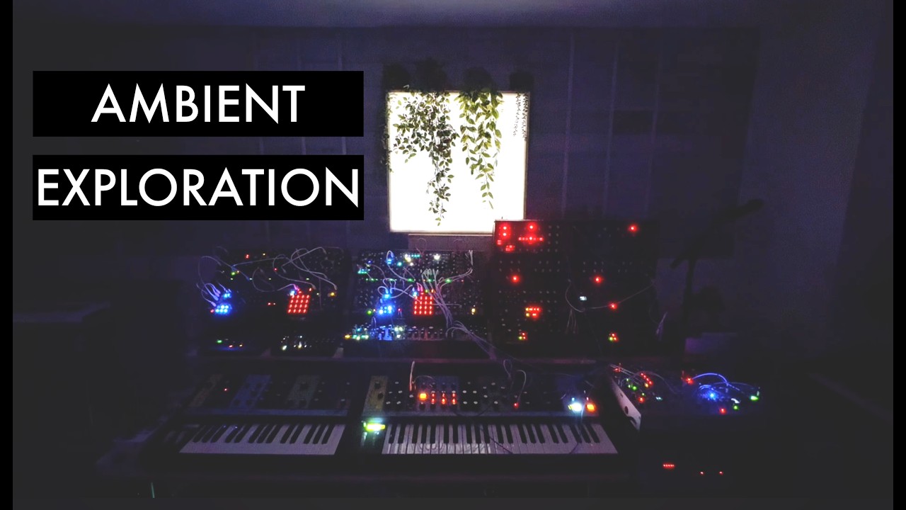 Newcomer | Modular Synth Meditation | 17 Minute Ambient Exploration