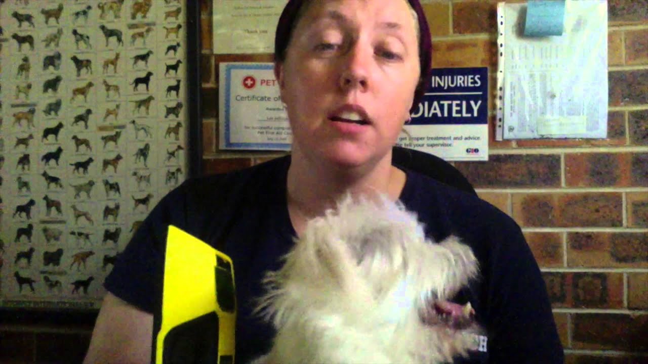 using a stud finder to find a microchip on a lost pet
