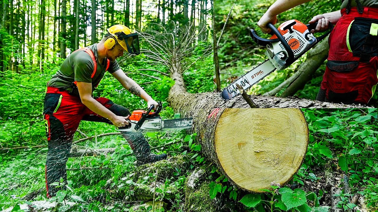 Stihl MS 211... First Start... and 7 years old Stihl MS 261 Making Swedish Torch Log