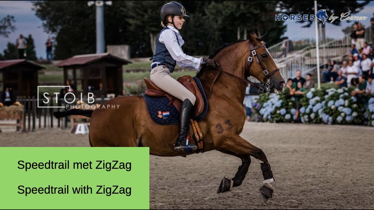 Working Equitation Speedtrail, by Carmen Coronel and ZigZig at the Europeanchampionship Young riders