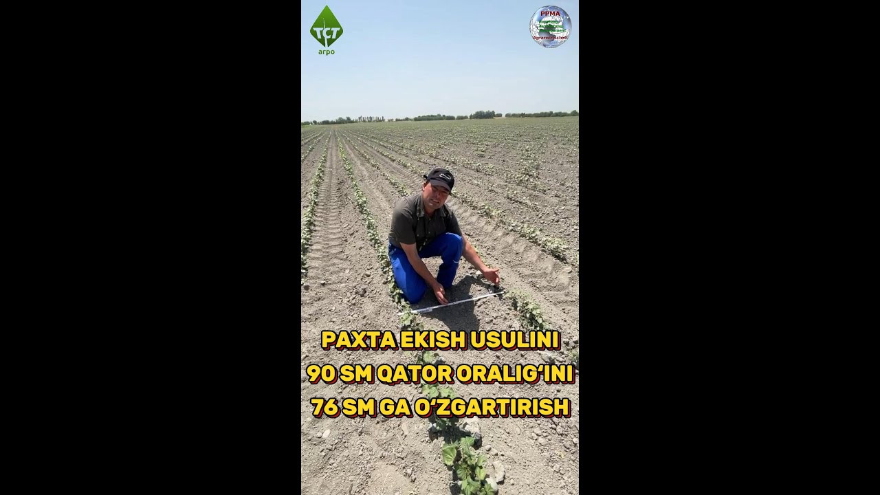 PAXTA 90 ORALIG‘INI 76 GA O‘ZGARTIRISH #farming #agriculture #machine #farm #хлопок #qishloqxojaligi