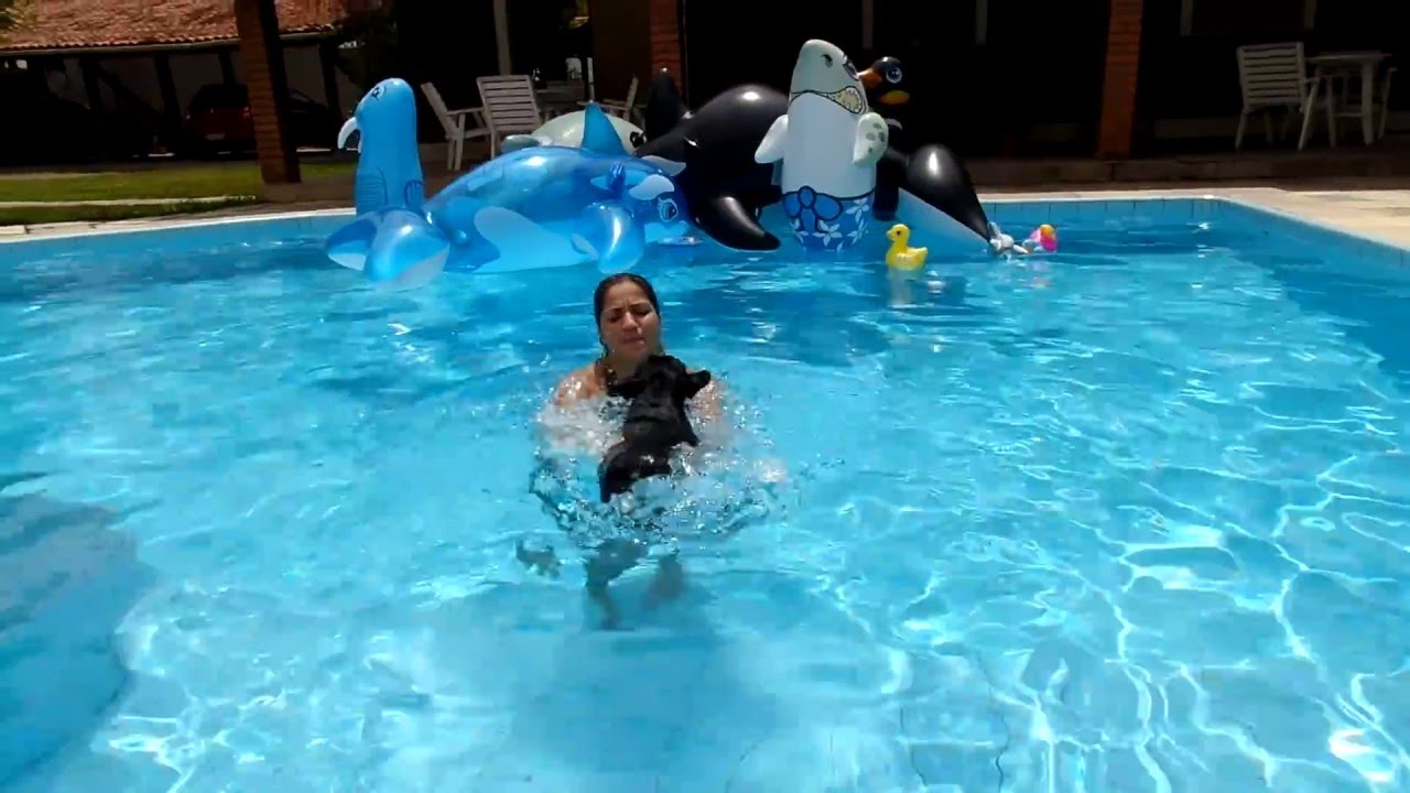 NATA&Ccedil;&Atilde;O CANINA NO MELHOR HOTEL PARA C&Atilde;ES DA BAHIA (71)99937-4215 WhatsApp.