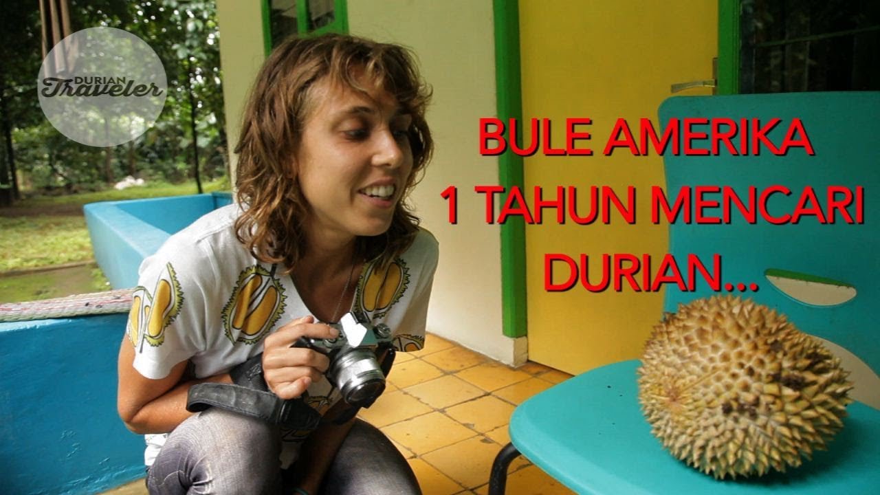 BULE AMERIKA 3  TAHUN MENCARI DURIAN PETRUK
