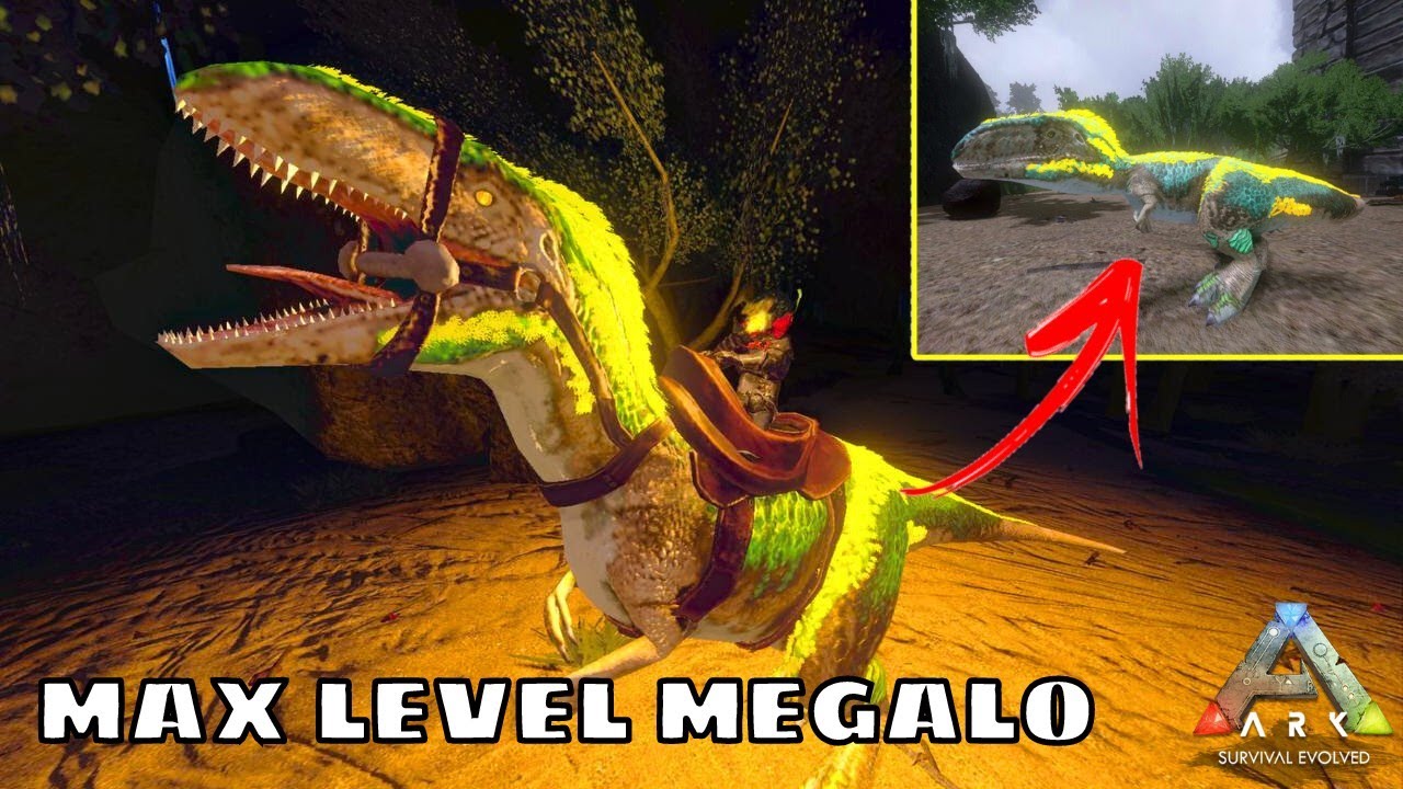 MAX LEVEL MEGALOSAURUS TAMING AND BREEDING!! ARK SURVIVAL EVOLVED MOBILE