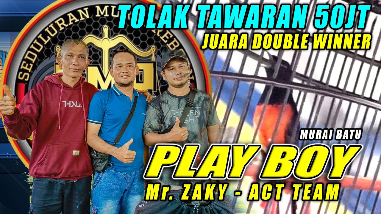 Murai Batu PLAY BOY GILA! Double Winner + Tolak Tawaran 50 JT di SMR Pantura feat Niaga Laut