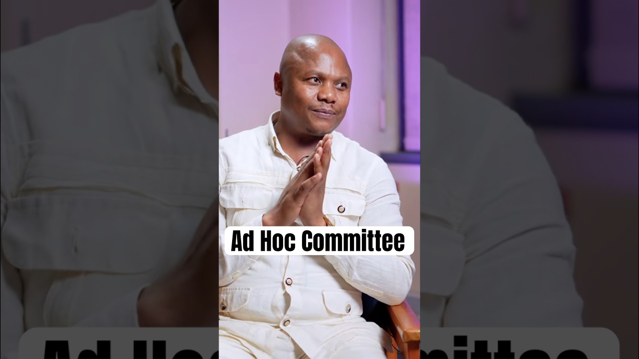 Xola Nqola on the work of Parliament&rsquo;s Ad Hoc Committee. #smwx #adhoccommittee