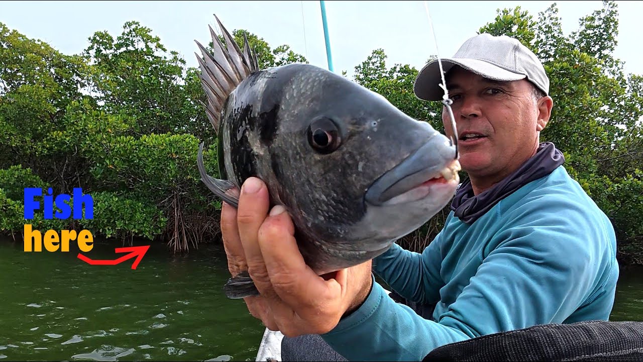 Never Go Sheepshead Fishing Without This BAIT!!