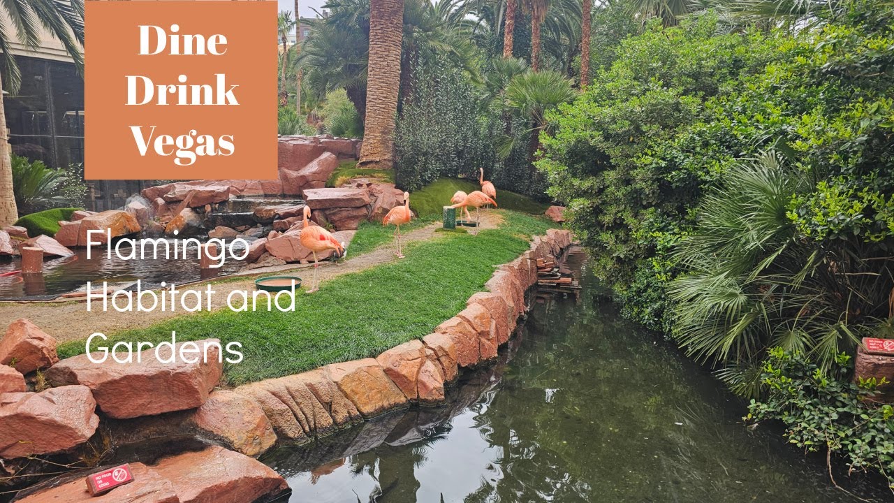 Flamingo Habitat, Gardens, and Wedding Chapel