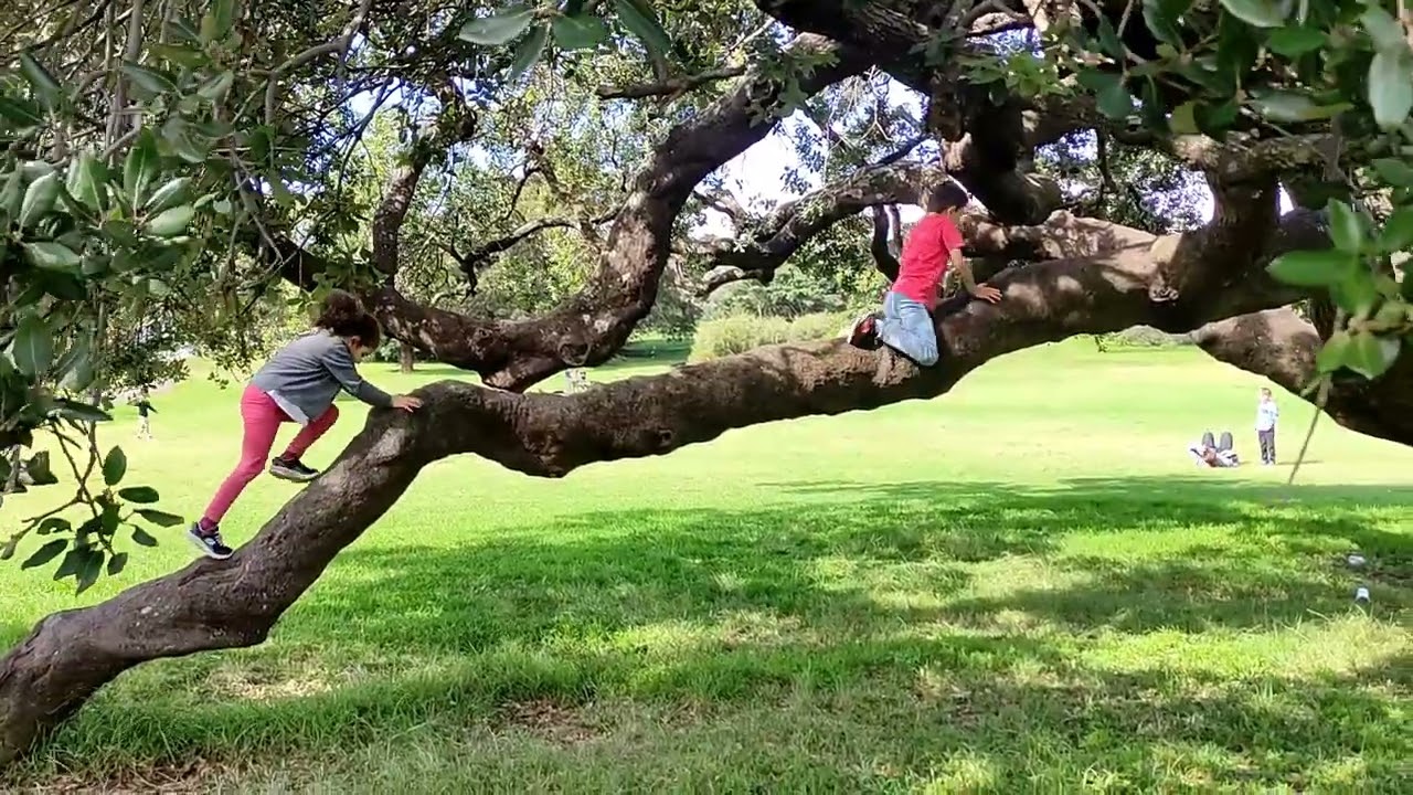 One day in Queens park #sydney #queenspark #2022