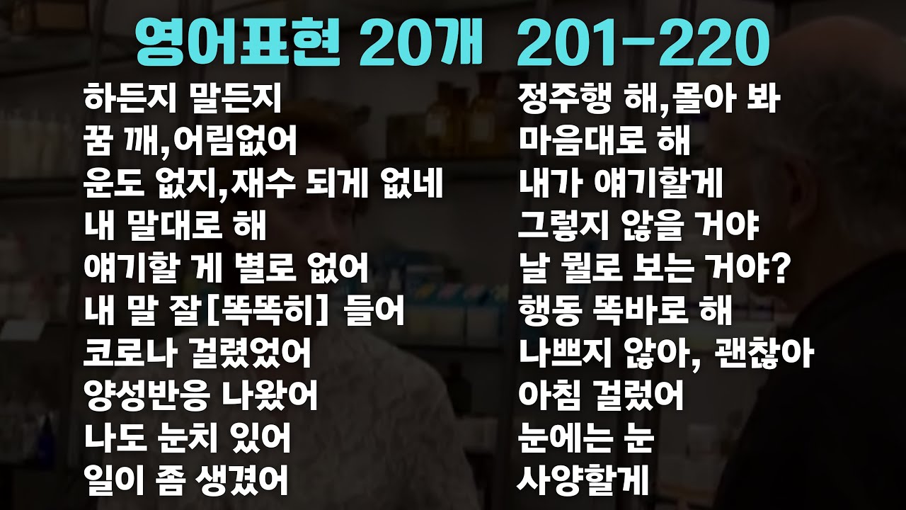 원어민이 매일 쓰는 영어표현 20개 201-220번