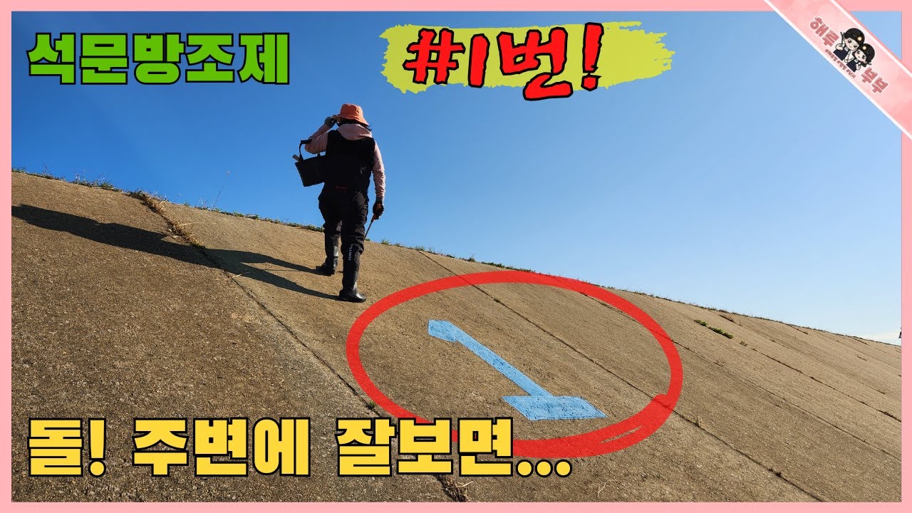 석문방조제 1번 포인트 물빠진 돌 주변 안보시면 못잡아요!!