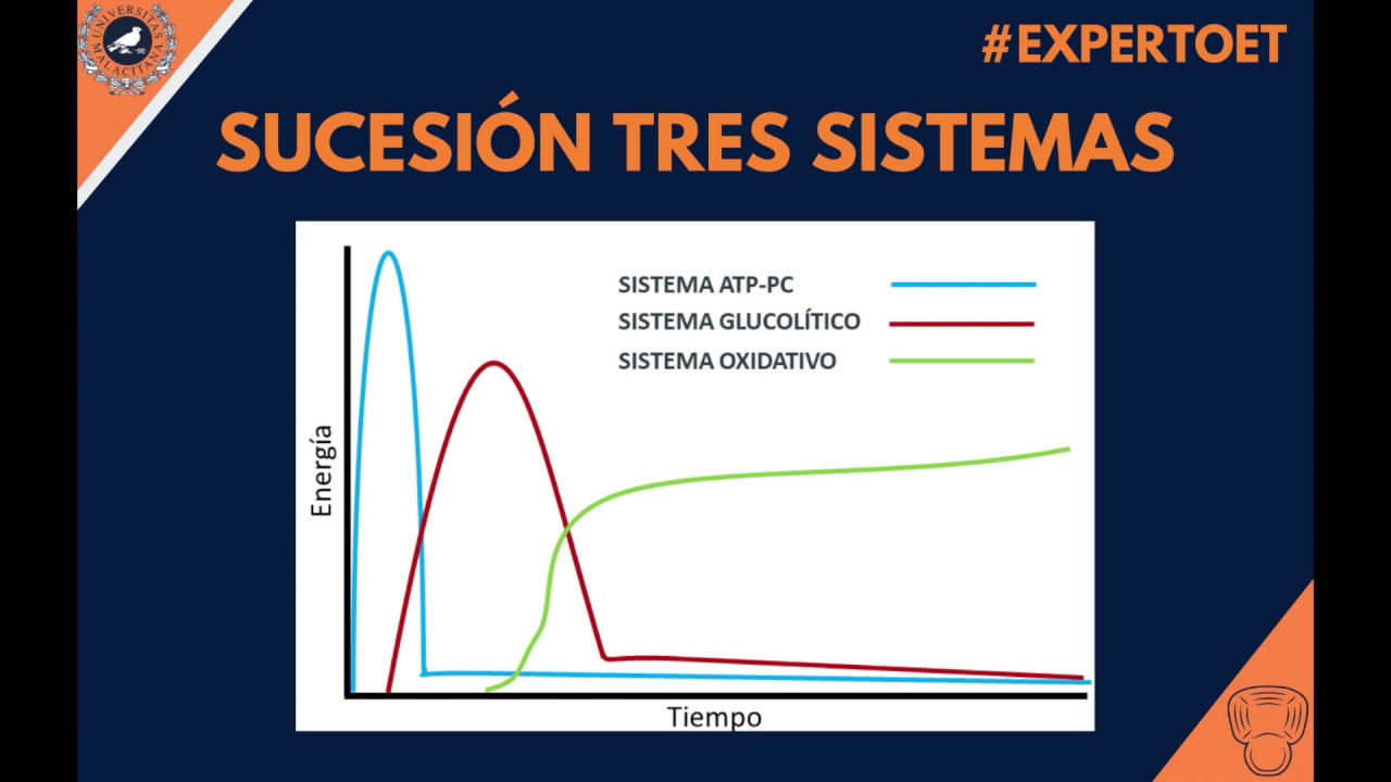 Recuerdo SISTEMAS ENERGÉTICOS BÁSICOS #expertoet