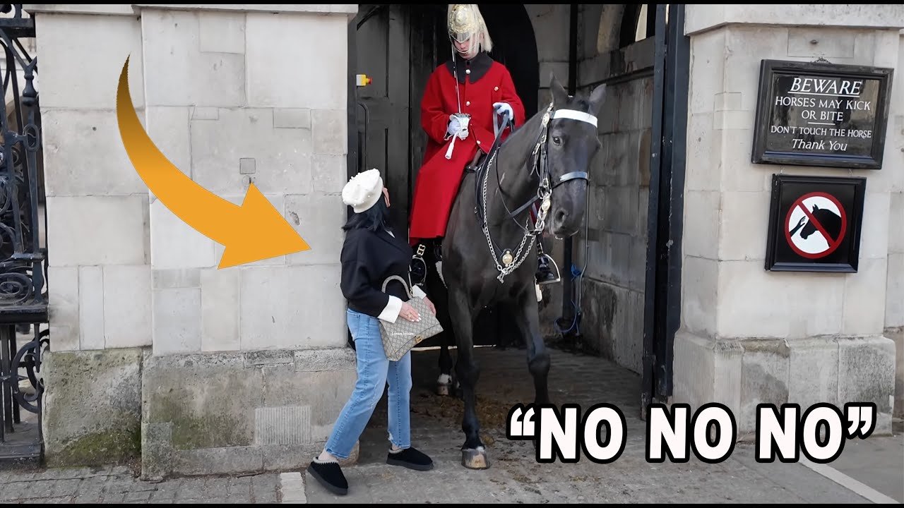 OMG!! Guard's in SHOCK When Tourist STEPS Closer as He commands her to GET OUT OF THE BOX 