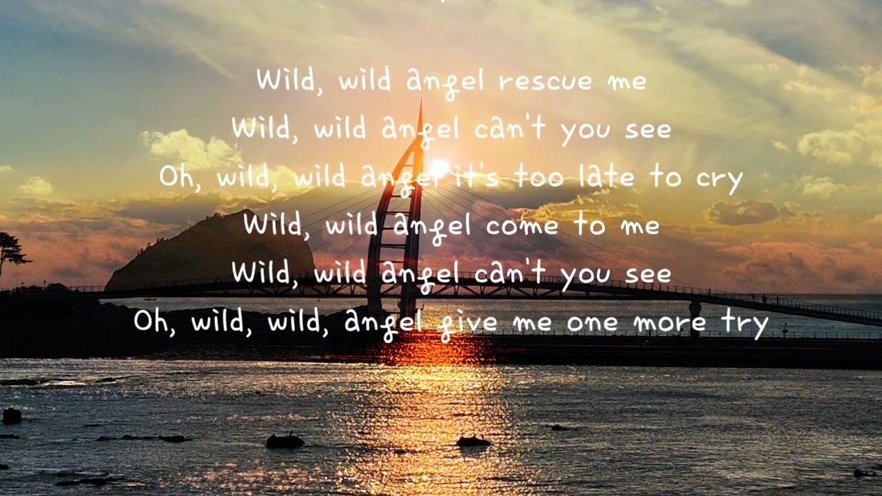 Wild Wild Angel          Chris Norman